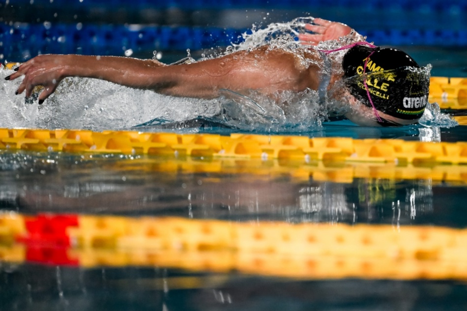 costanza cocconcelli costanza cocconcelli