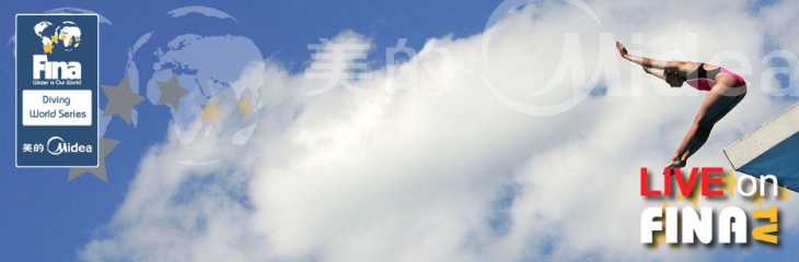 logo fina world series