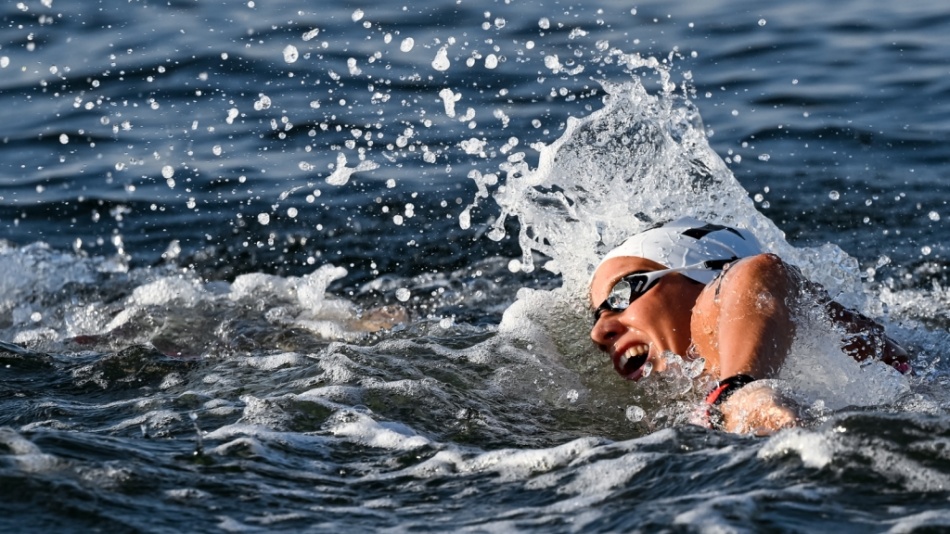 ginevra taddeucci