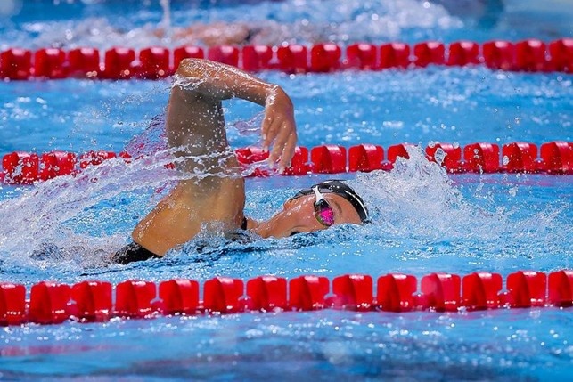 Peiqi Yang